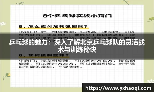 乒乓球的魅力：深入了解北京乒乓球队的灵活战术与训练秘诀
