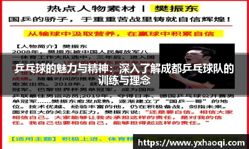 乒乓球的魅力与精神：深入了解成都乒乓球队的训练与理念