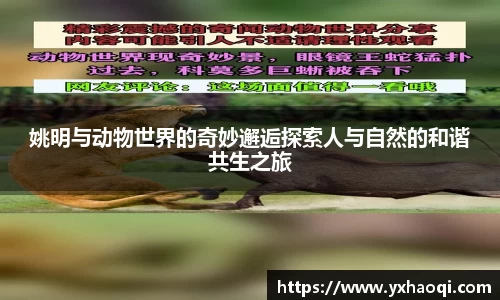 姚明与动物世界的奇妙邂逅探索人与自然的和谐共生之旅