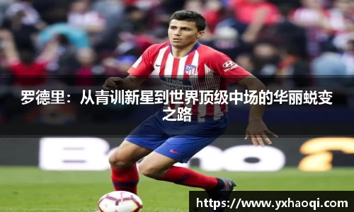 jinnianhui金年会诚信至上