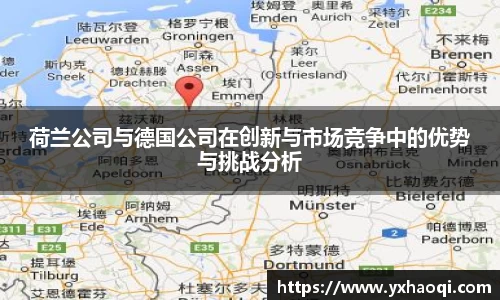 荷兰公司与德国公司在创新与市场竞争中的优势与挑战分析